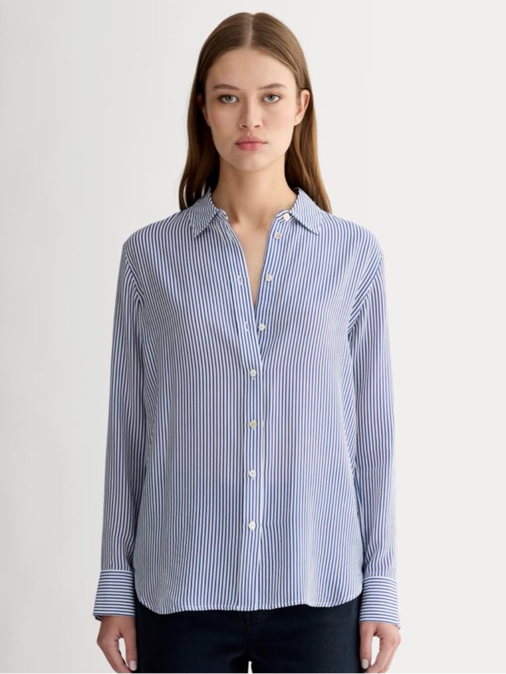 Everlane Women's Blue & White Stripe Button-Up Shirt